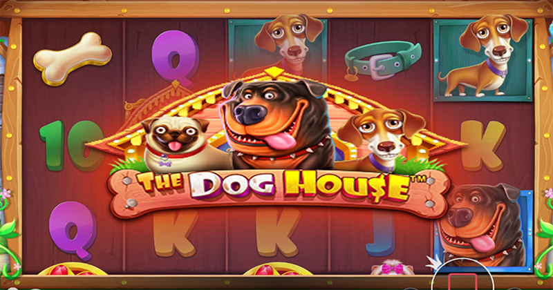 The Dog House 