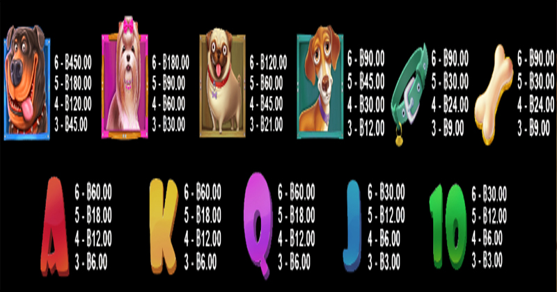 Review of The Dog House slot game