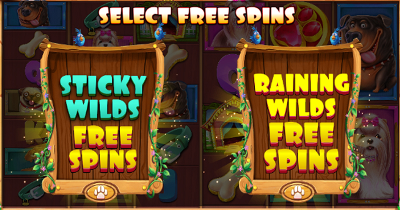 free spins The Dog House