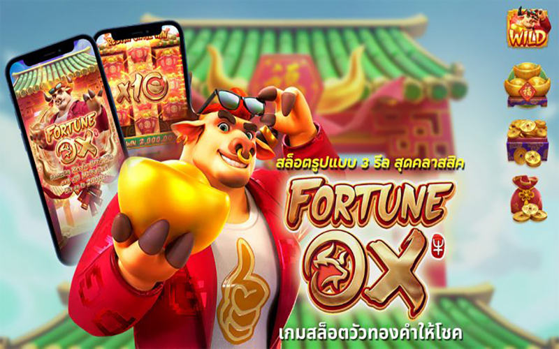 เกม วัว pg ทดลองเล่น-"cow pg game try-playing"