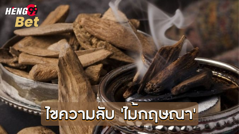 รูปภาพ ไขความลับ 'ไม้กฤษณา' ของ heng99