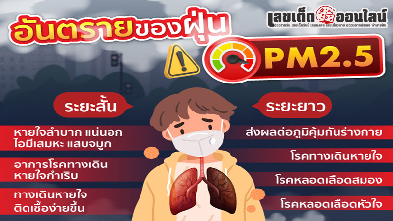 รูปภาพอันตรายของฝุ่น PM2.5ของ lekdedonline